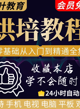 私房烘焙蛋糕韩式裱花视频教程翻糖制作课程中文西点甜品面包配方