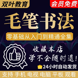 成人毛笔字视频教学练字视频教程硬笔软笔书法课程隶书楷书行书写