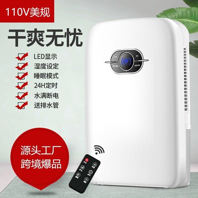110V American standard Taiwan dehumidifier cross-border dehu