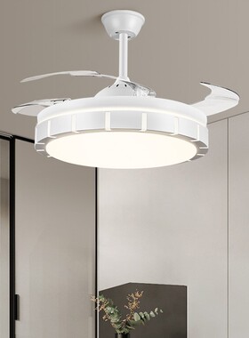 110V Taiwan Hidden Blade Ceiling Fan Light with RGB Bluetoot