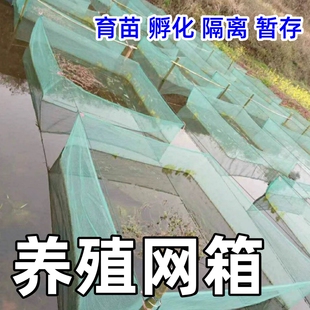 鳝鱼养殖网箱养水花黄鳝专用加盖水产龙虾孵化育苗10目泥鳅渔网