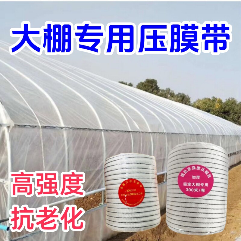 大棚绳子压膜绳固膜尼龙线