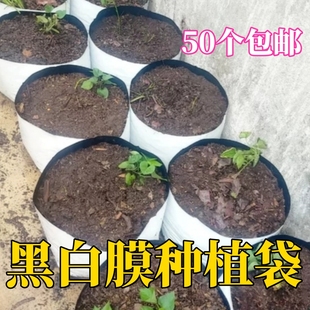 黑白膜种植袋无土栽培草莓蓝长方形立体蔬菜育苗生美植西红柿大棚