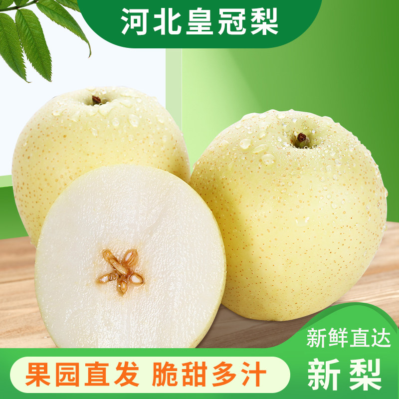 河北皇冠梨应季新鲜水果脆甜5斤白皇冠梨翠冠梨雪梨砀山梨