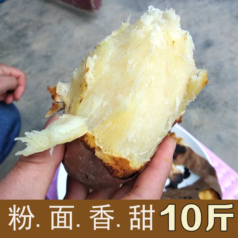 新鲜板栗红薯农家自种粉面白薯沙地番薯白心山芋大地瓜超甜10斤