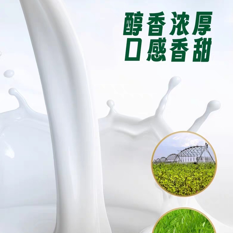 青海盒装纯牛奶200ml青藏高原整箱清真全脂生牛乳高温灭菌乳