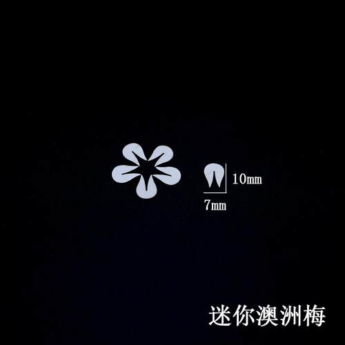 迷你免剪免抠缠花切片澳洲梅五瓣花竹叶350克纸模卡纸古风手工diy