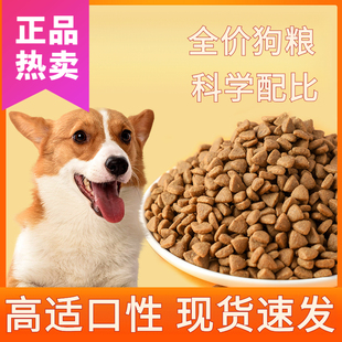 柯基成犬狗粮营养科基狗粮柯基成犬5斤10斤柯基犬通用型狗粮.