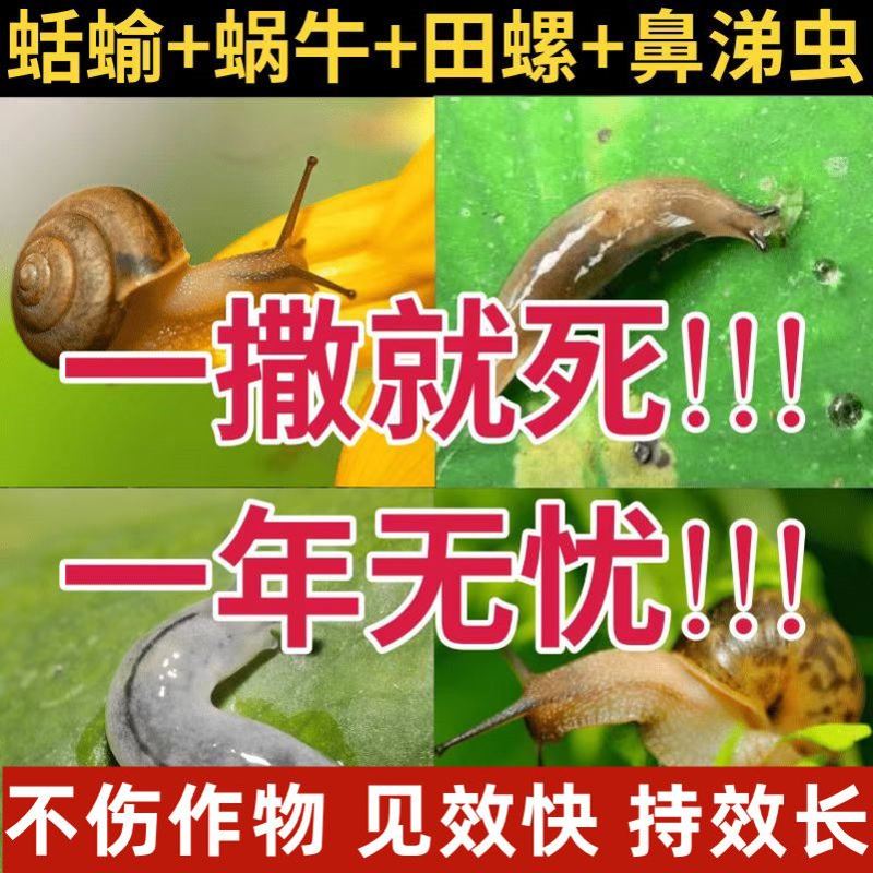 花园草坪菜地家用杀蜗牛药福寿螺田螺丝鼻涕虫软体虫杀虫剂颗粒剂
