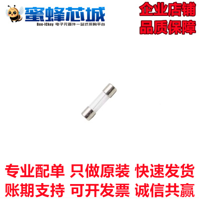 0.125A 125mA 5x20mm 原装进口 保险管 250V