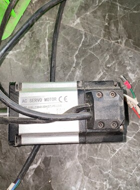 60BL(2)B40-30H(ST)-P5-L045 电机