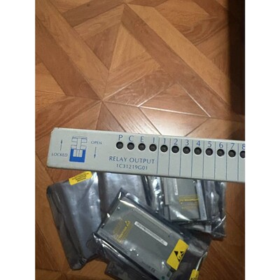 1C31219G01继电器输出模块,全新未拆封议价