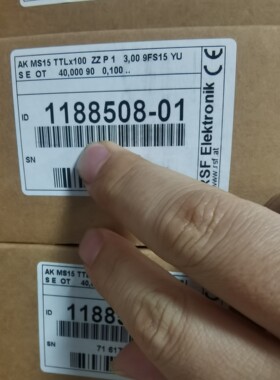 RSF  0.1μ读头  MS15  TTLx100