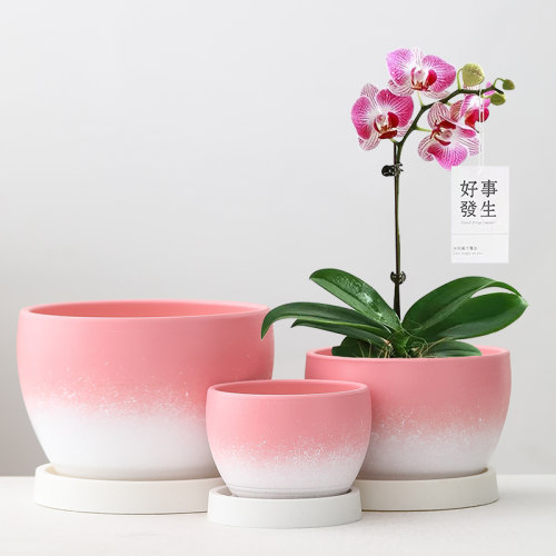 陶瓷花盆家用郁金香土培绿萝多肉盆栽高级大号大口径特价清仓带托