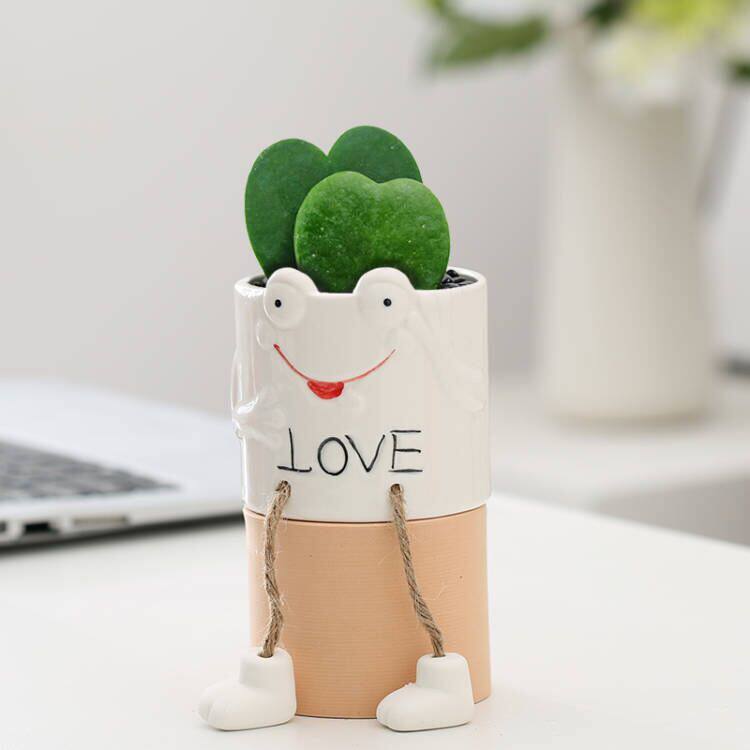 创意可爱吊脚卡通花盆陶瓷多肉植物仙人掌绿植盆栽室内茶桌小摆件