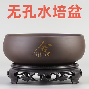 睡碗莲专用盆缸铜钱草一叶莲水仙花盆金钱草水培植物无孔陶瓷紫砂