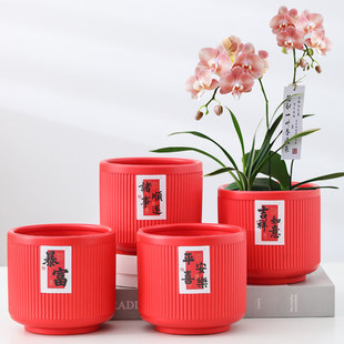 陶瓷花盆大红色中国风新年高档喜庆轻奢蝴蝶兰专用君子绿植花盆