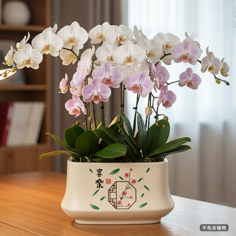 北欧花盆陶瓷大口径蝴蝶兰多肉绿植盆家用客厅电视柜办公桌装饰盆,家居饰品,花盆,淘宝优惠券,粉丝福利购,淘宝优惠卷