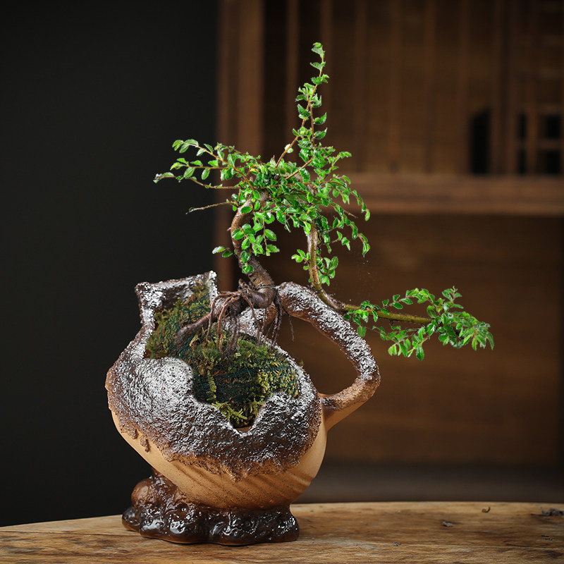 创意造景多肉花盆陶瓷粗陶透气大号复古老桩缺口绿植盆景悬崖桩盆