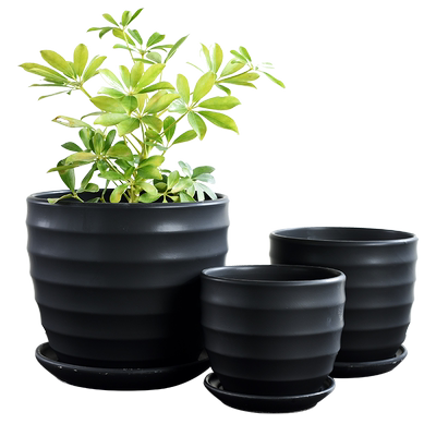 多肉植物营养土养花种花种菜土壤