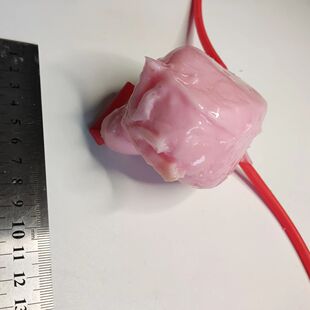空腔前列腺膀胱外科腹腔镜模拟训练练习缝合剪切模块模型
