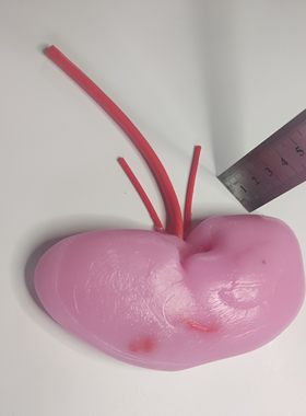 肾泌尿外科腹腔镜模拟训练练习缝合剪切模块模型