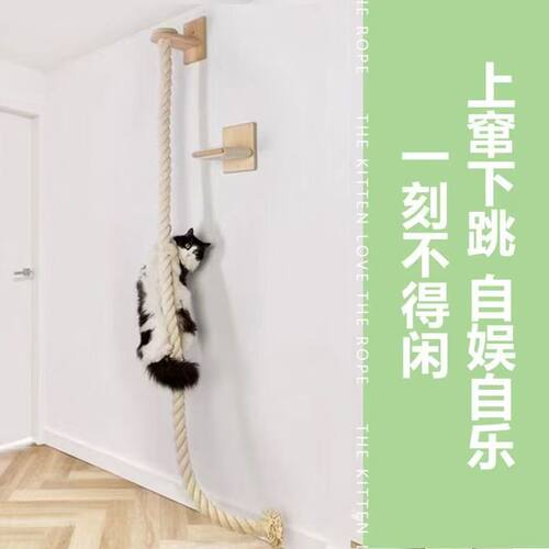 家庭实木猫爬架四季通用