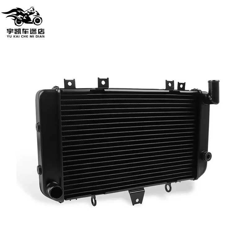 适用川崎ZRX1100ZRX1200水箱