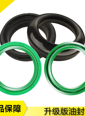 43*55*11适用川崎ZR ZX11 ZZR1100/1400VN六眼魔神前减震油封防尘