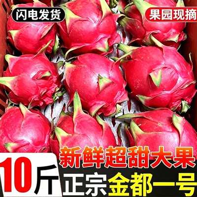 云南金都一号红心火龙果整箱大果