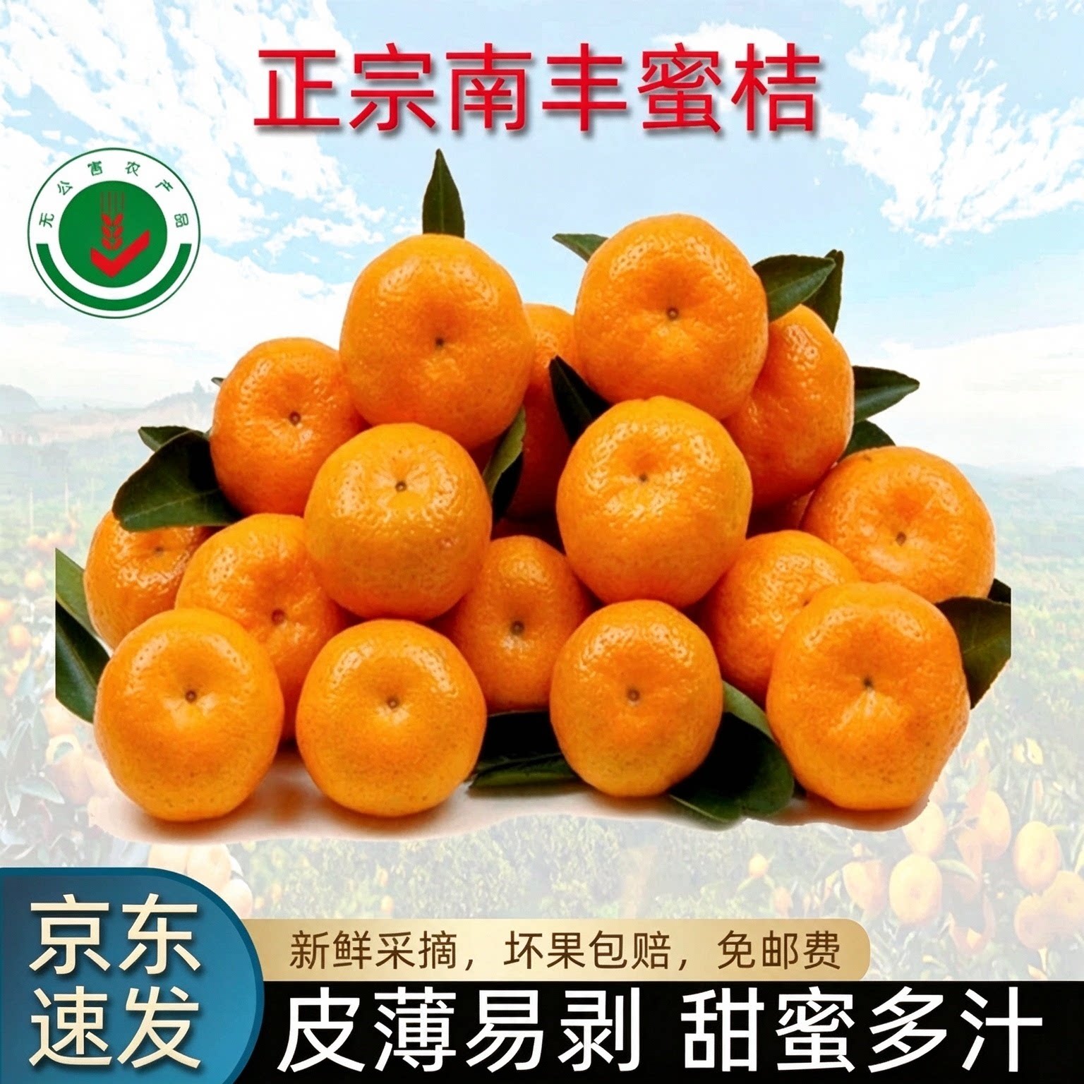 正宗江西南丰蜜桔新鲜现摘小橘子