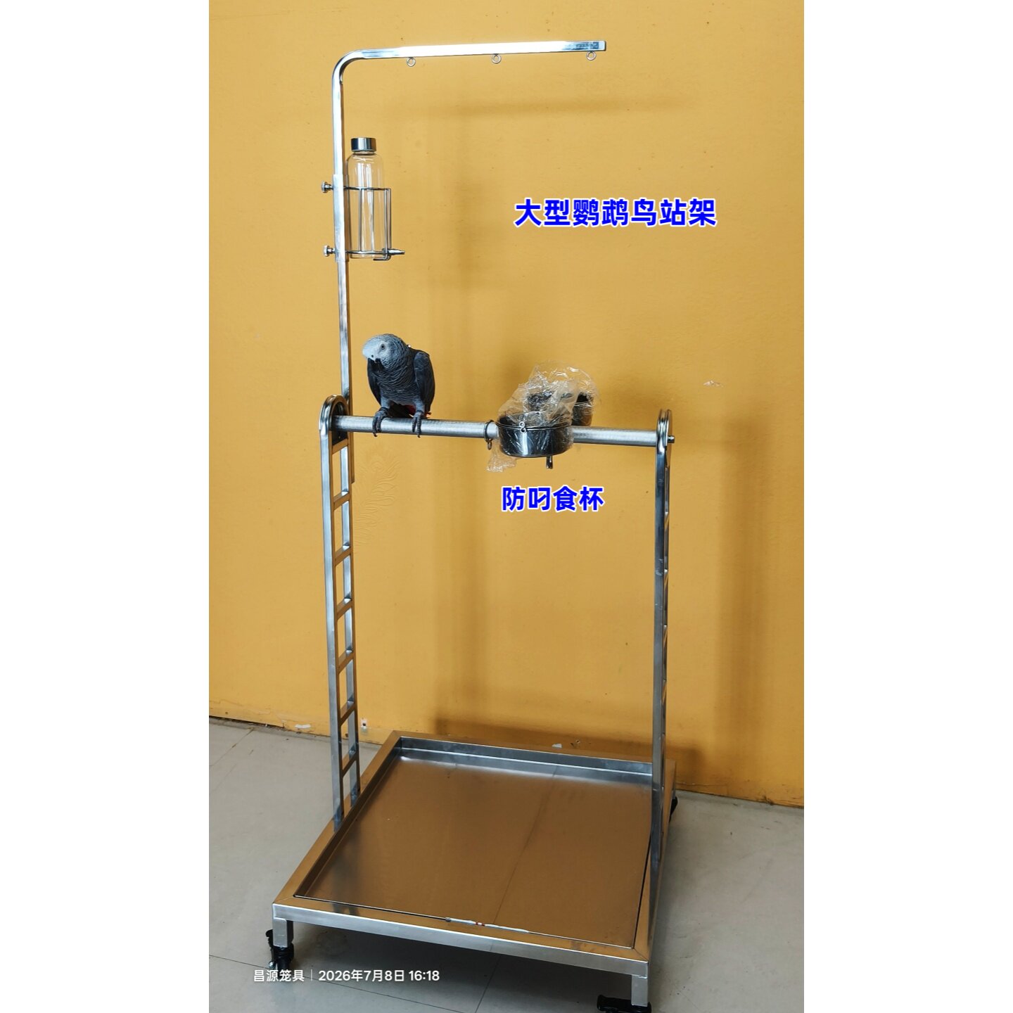 鹦鹉鸟站架游戏站台磨爪耐咬互动站杆灰机亚马逊金刚鹦鹉鸟笼用品图片