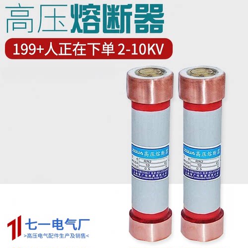 限流熔断器RN2-10/12KV/0.5A
