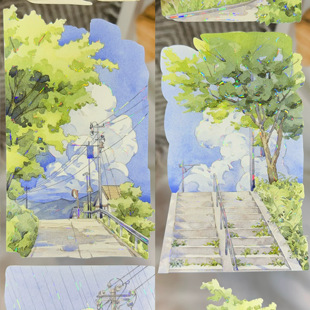 青郊如故 Wines新品背景胶带PET贝壳光假日野外打卡风景造景素材