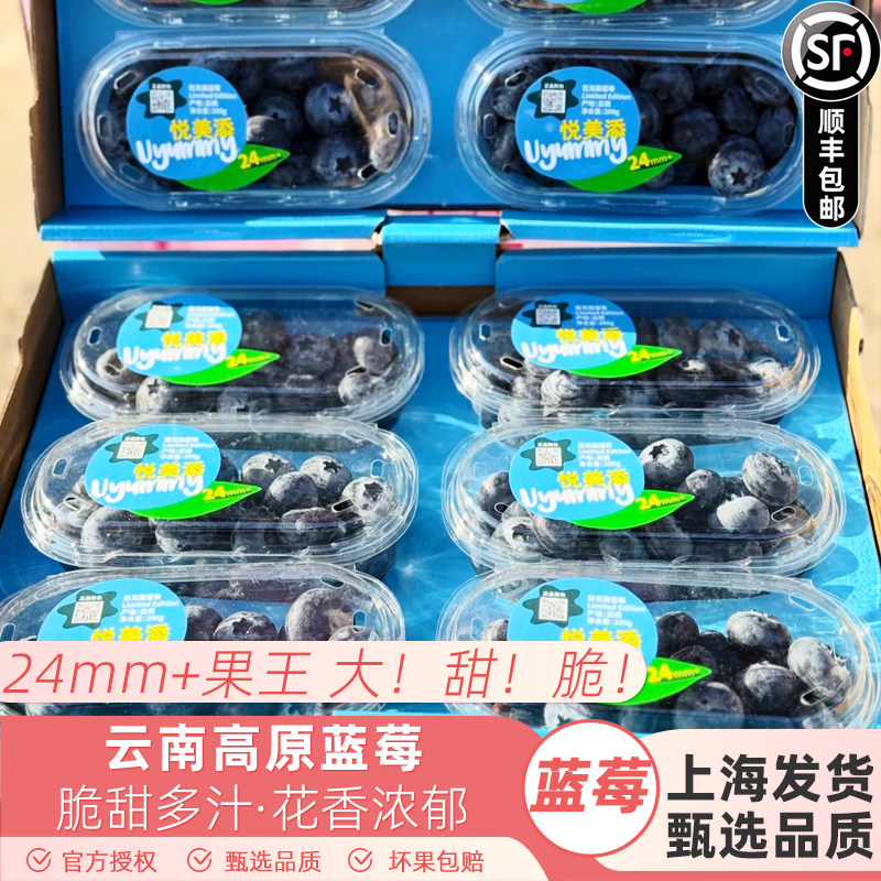 云南悦美添花香蓝莓24mm+原箱大蓝莓王甜脆新鲜原箱6盒装顺丰包邮