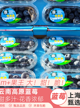 云南24mm+原箱大蓝莓王甜脆悦美添花香蓝莓新鲜8盒装顺丰包邮