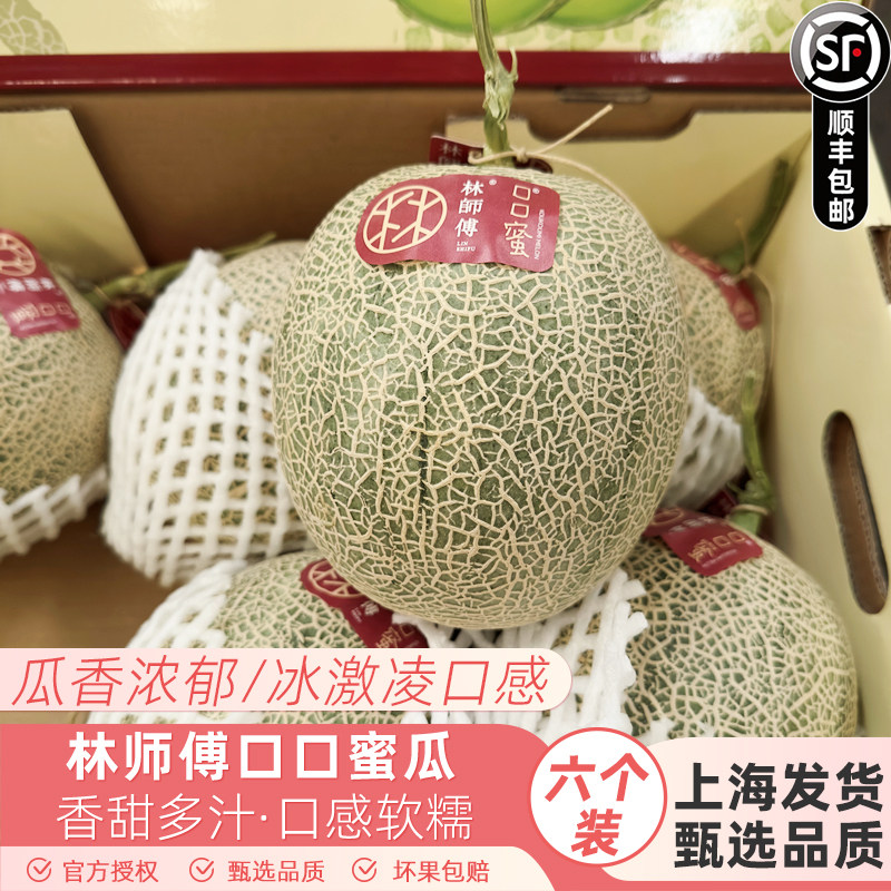 新货正宗林师傅口口蜜瓜6个装糯甜新鲜当季水果海南哈密瓜网纹瓜,水产肉类/新鲜蔬果/熟食,哈密瓜,淘宝优惠券,粉丝福利购,淘宝优惠卷