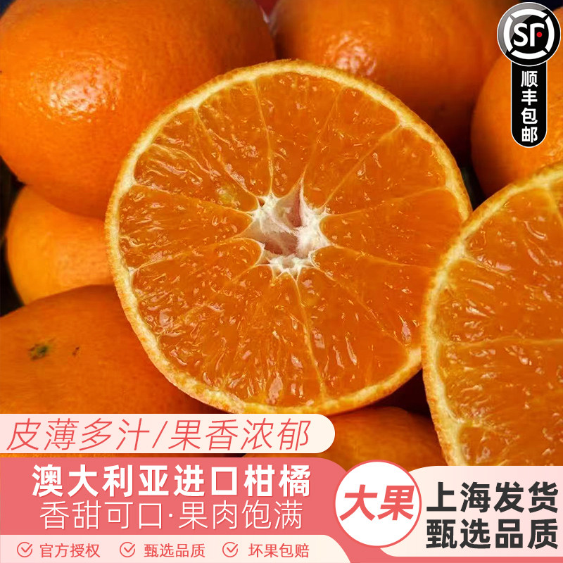 澳大利亚进口柑橘蜜橘子蜜桔澳柑不上火新鲜桔子当季时令新鲜水果