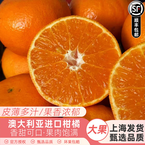 澳大利亚进口柑橘蜜橘子蜜桔澳柑不上火新鲜桔子当季时令新鲜水果
