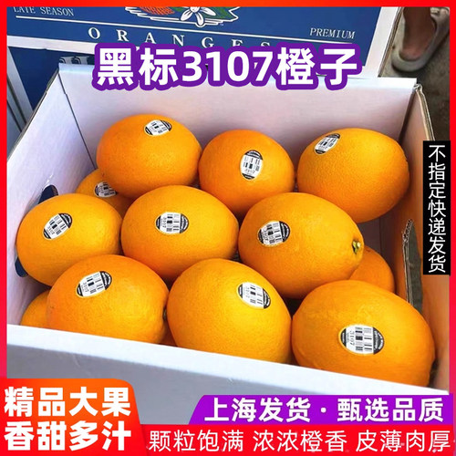 现货3107黑标橙子新鲜水果礼盒装8斤大果脐橙包邮