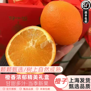 匠心极心想事橙橙子脐橙原箱礼盒10斤新鲜水果甜橙甜嫩多汁发顺丰