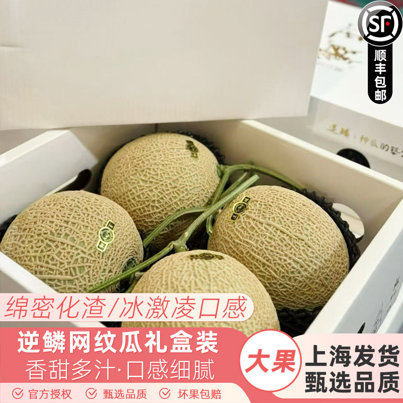 逆鳞网纹瓜新鲜哈密瓜蜜瓜冰淇淋口感一藤一瓜严选好果礼盒装顺丰