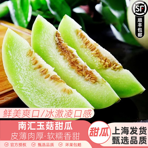 上海南汇玉菇甜瓜超甜糯10斤新鲜水果当季冰淇淋蜜瓜香瓜青皮绿肉