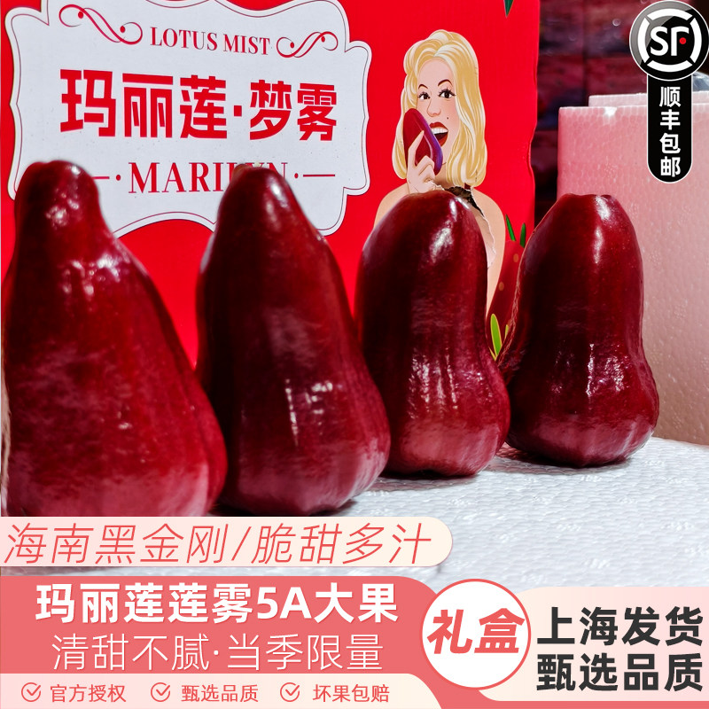 玛丽莲海南黑金刚莲雾3斤礼盒水果特大果新鲜连雾脆甜当季顺丰