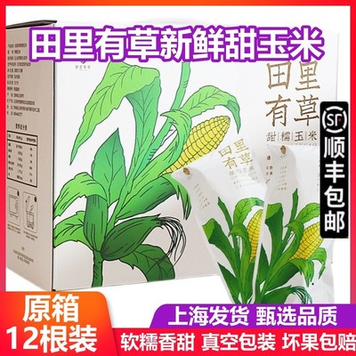 田里有草玉米甜糯玉米