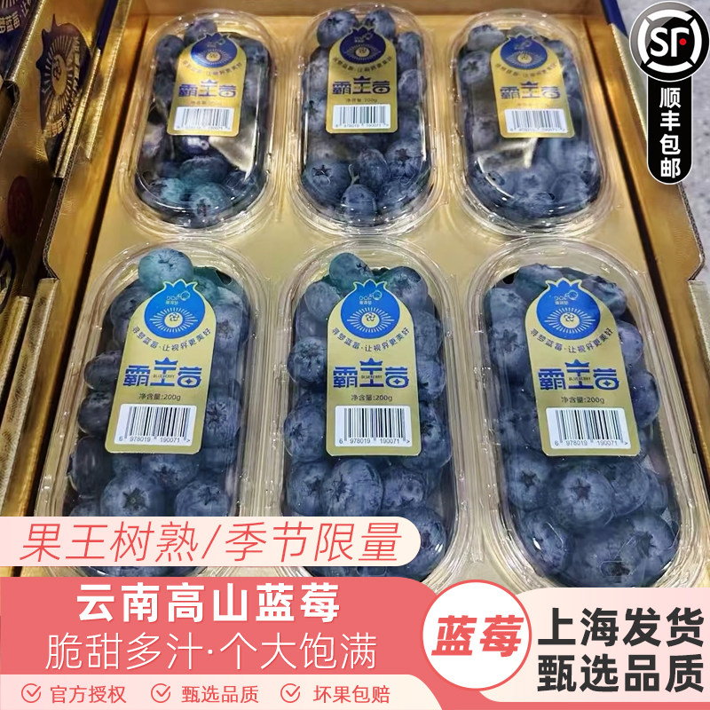 霸王莓云南高原蓝莓王皇冠蓝莓超大果蓝莓大蓝莓22mm+顺丰快递