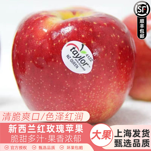 新西兰进口红玫瑰苹果taylor皇后苹果脆甜新鲜孕妇水果10个包邮