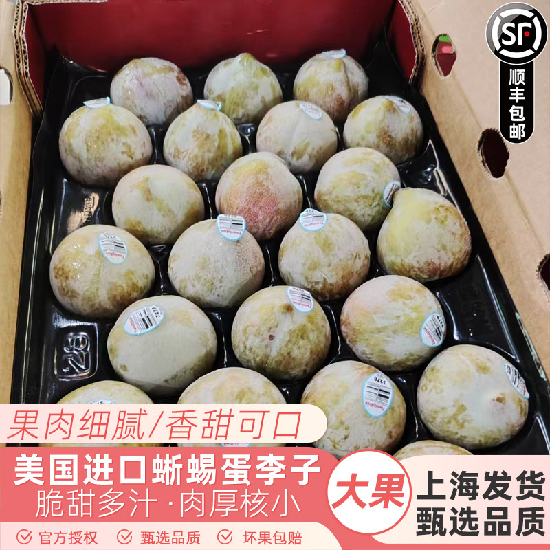 美国进口蜥蜴蛋恐龙蛋李子时令新鲜水果红肉李子8斤原箱顺丰快递