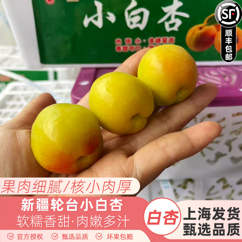 新货新疆特产轮台小白杏3斤装味美多汁空运到沪新鲜水果好吃包邮