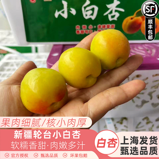 新货新疆特产轮台小白杏3斤装味美多汁空运到沪新鲜水果好吃包邮